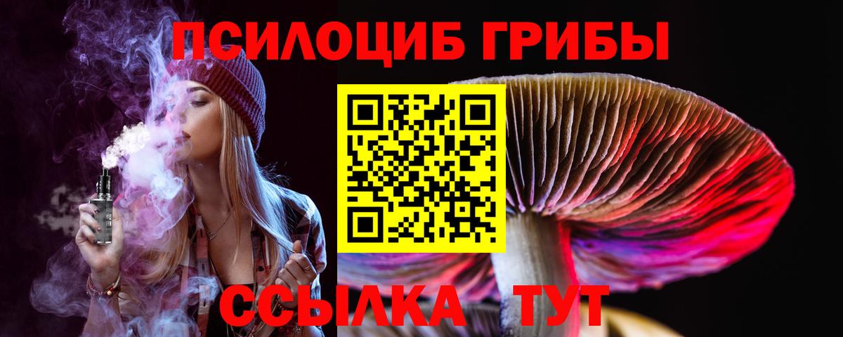 Галлюциногенные грибы прущие грибы Элиста